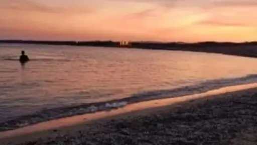 مصر الآن