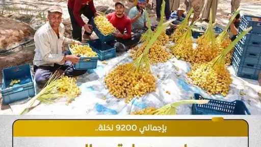 اقتصاد وأسواق
