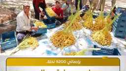 اقتصاد وأسواق