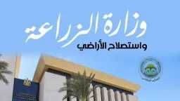 ملفات مفتوحة