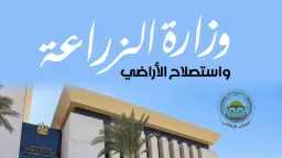 اقتصاد وأسواق